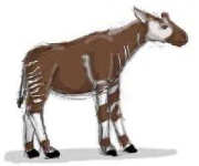 image of animal