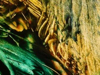 image of texture