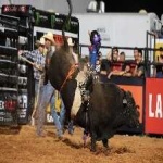 image of bull_riding #10