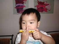 image of harmonica