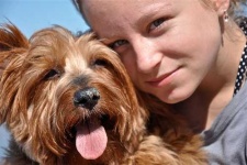 image of australian_terrier