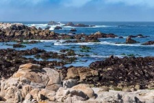 image of rocky_shore