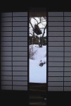 image of shoji