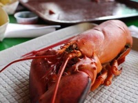 image of american_lobster