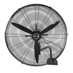 image of fan