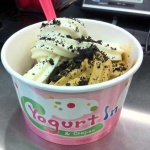 image of frozen_yogurt #8