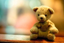 image of teddy_bear