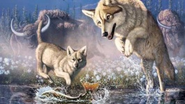 image of animal
