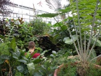image of greenhouse