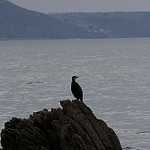 image of sea