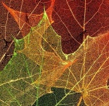 image of texture