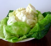 image of cabbage #5