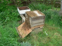 image of apiary