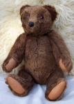 image of teddy