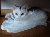 image of plastic_bag