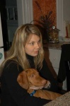 image of vizsla