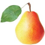 image of pear