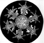 image of snowflake