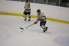 image of puck