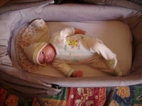 image of cradle