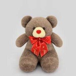 image of teddy_bear