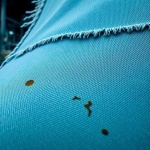 image of fabric_wrinkled_surface