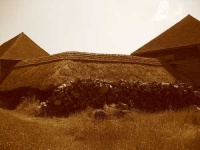 image of thatch