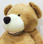 image of teddy_bear