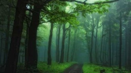 image of foggy