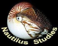 image of nautilus