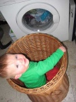 image of hamper