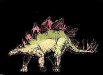 image of stegosaurus
