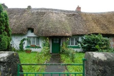 image of thatch