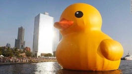 image of animal