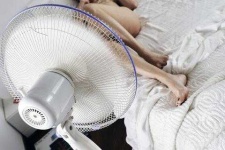 image of fan