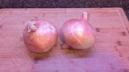 image of onion #11