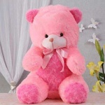 image of teddy_bear