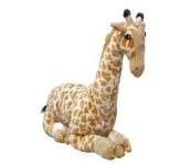 image of animal