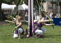 image of maypole