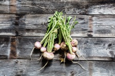 image of turnip #21