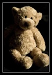 image of teddy