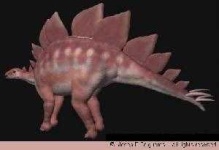 image of stegosaurus