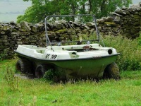 image of amphibian