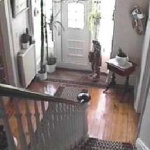 image of indoor