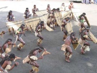 image of panpipe
