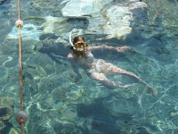 image of snorkel