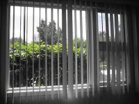 image of window_shade