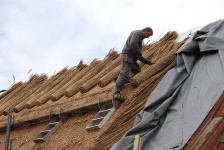 image of thatch