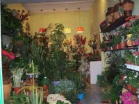 image of indoor