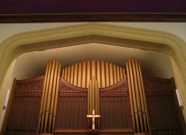 image of organ #17